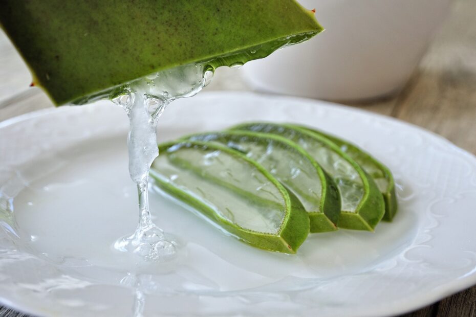 aloe vera nutrición antiinflamatoria fitoterapia antiedad detox intestinal